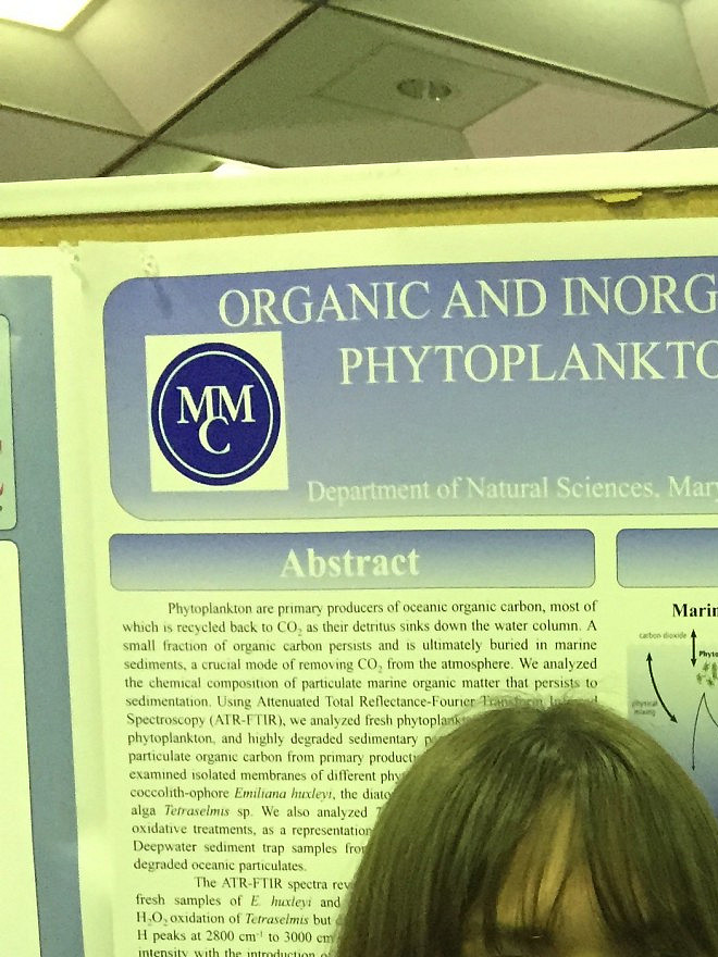 Rosie Wenrich presents her work with Prof. Leri at the Undergraduate Research Symposium in the Chemical and Biological Sciences at the Un...