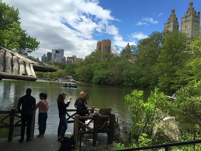 Prof. Leri's Chemistry and the Environment (CHEM/ENV 105) students measure water quality in The Lake in Central Park's Ramble.
