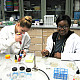 Microbiology Lab - Fall 2014