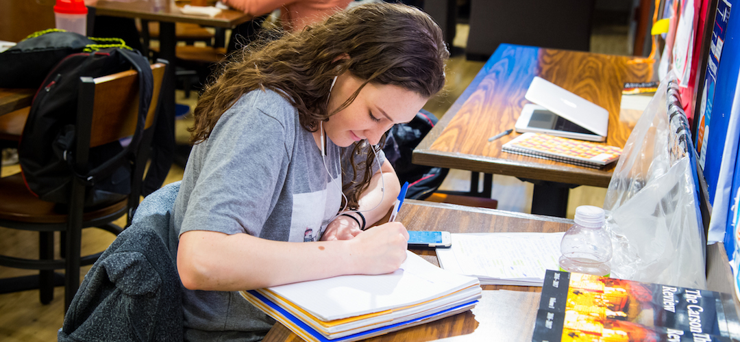 Student studying in Nugent Lounge