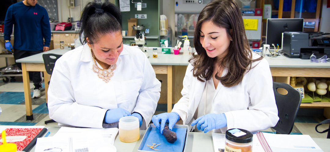 Biology students use microscope in lab