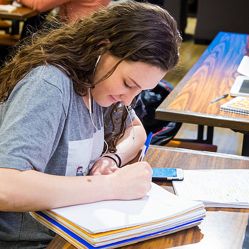 Student studying in Nugent Lounge