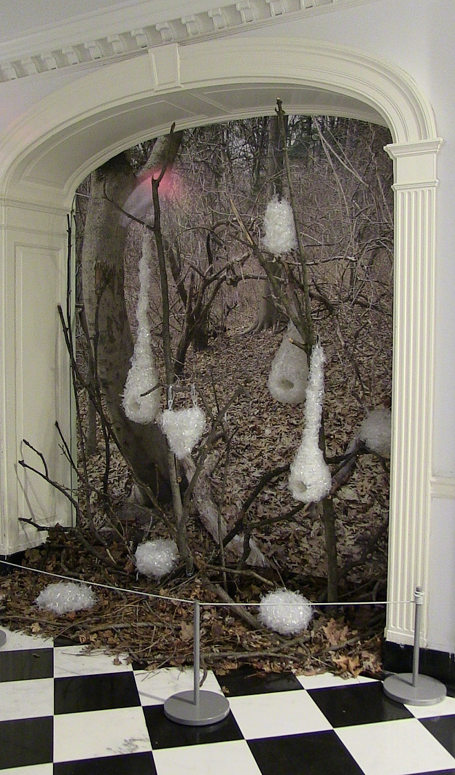 Linda Byrne “Recycling Nature