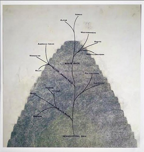 Susan Erony, Tower of Babel: Tree of Races • Inkjet print, 22.7 x 22, 2016