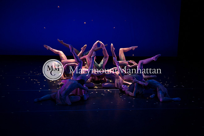 01_The gilded Lily RUIZ