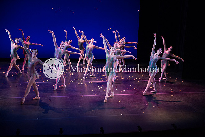 01_The gilded Lily RUIZ