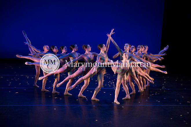 01_The gilded Lily RUIZ