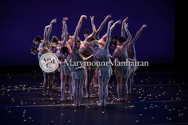 01_The gilded Lily RUIZ