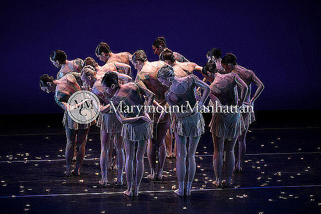 01_The gilded Lily RUIZ