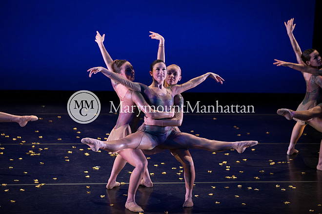 01_The gilded Lily RUIZ