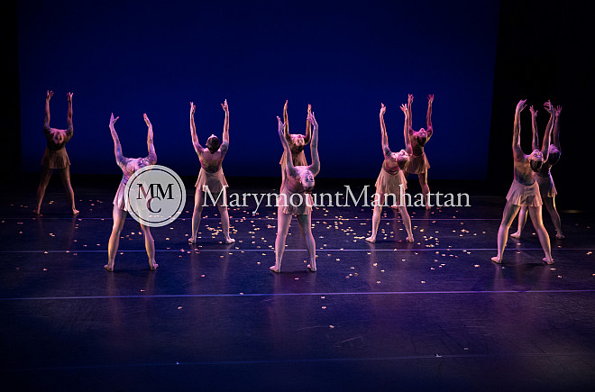 01_The gilded Lily RUIZ