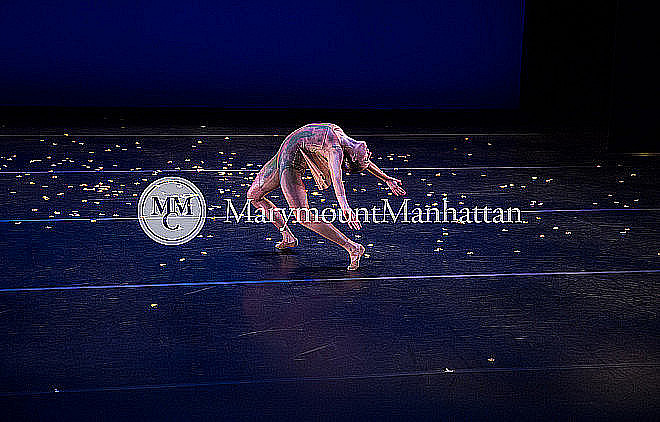 01_The gilded Lily RUIZ