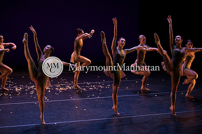 01_The gilded Lily RUIZ