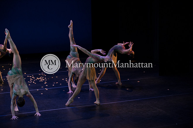 01_The gilded Lily RUIZ