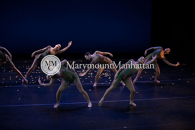 01_The gilded Lily RUIZ