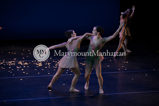 01_The gilded Lily RUIZ