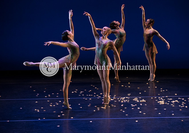 01_The gilded Lily RUIZ